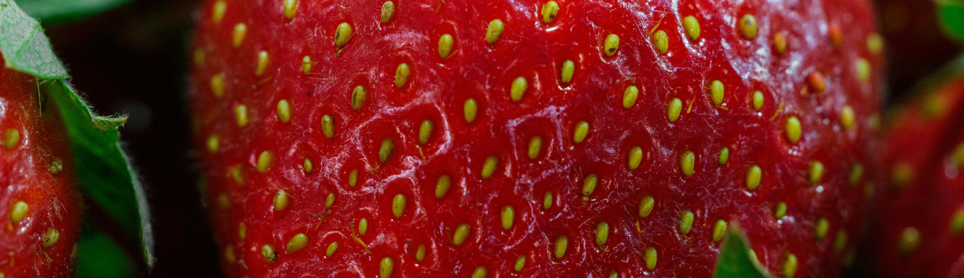 Botox®-Map Botox®-Map